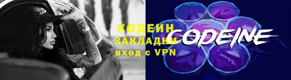 индика Баксан
