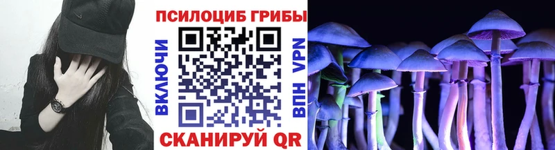 Псилоцибиновые грибы прущие грибы Мосальск